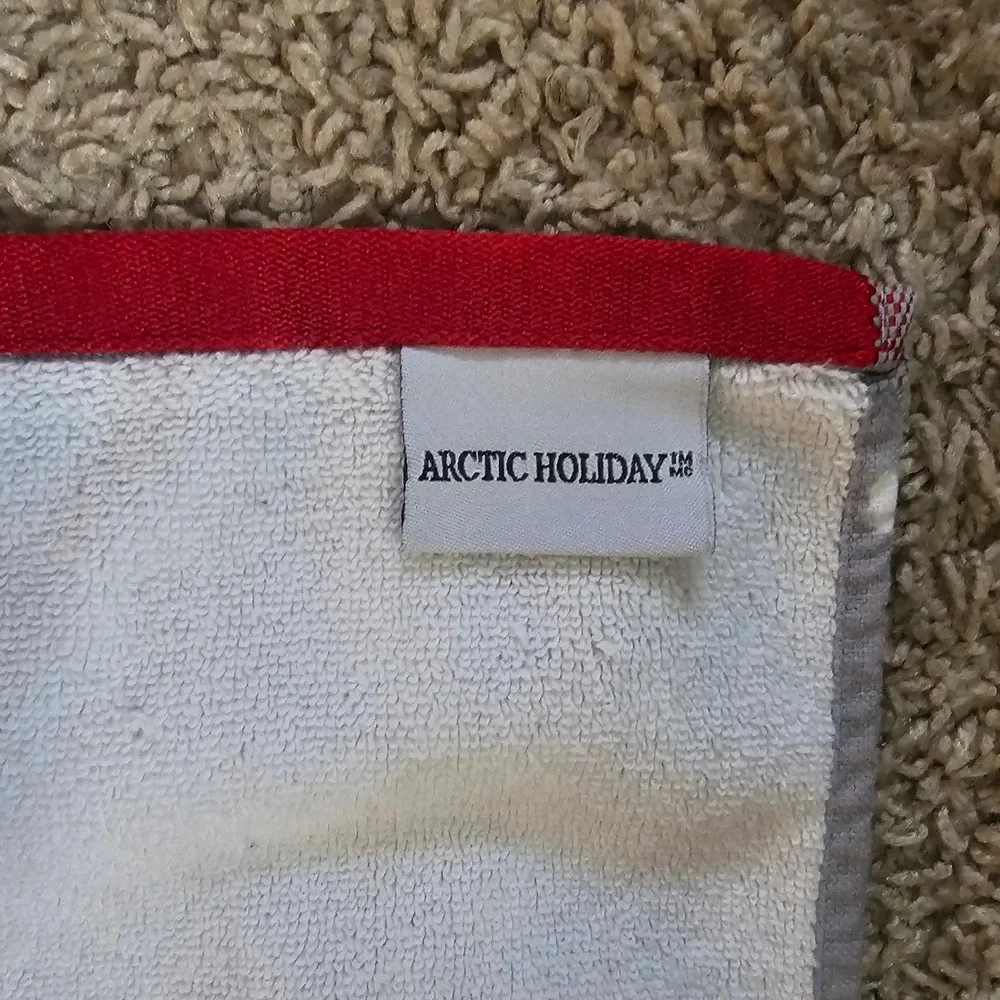 Arctic Holiday Christmas Hand Towels Set of 3 Reindeer Snowflake Gray Red Plush